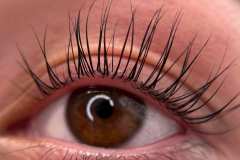 lashes